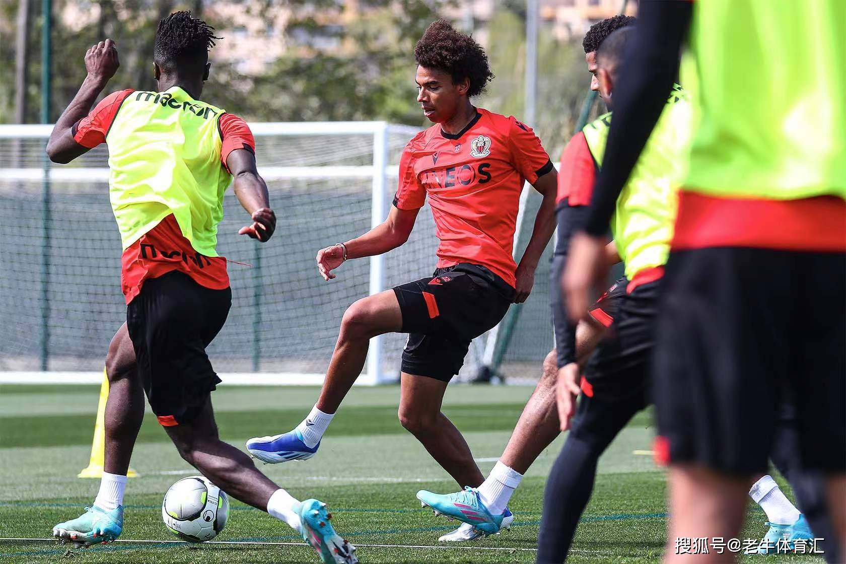 清晨突围战来临，勒沃库森围绕法甲手感冰凉，球迷炸锅，团队化学反应显著的简单介绍